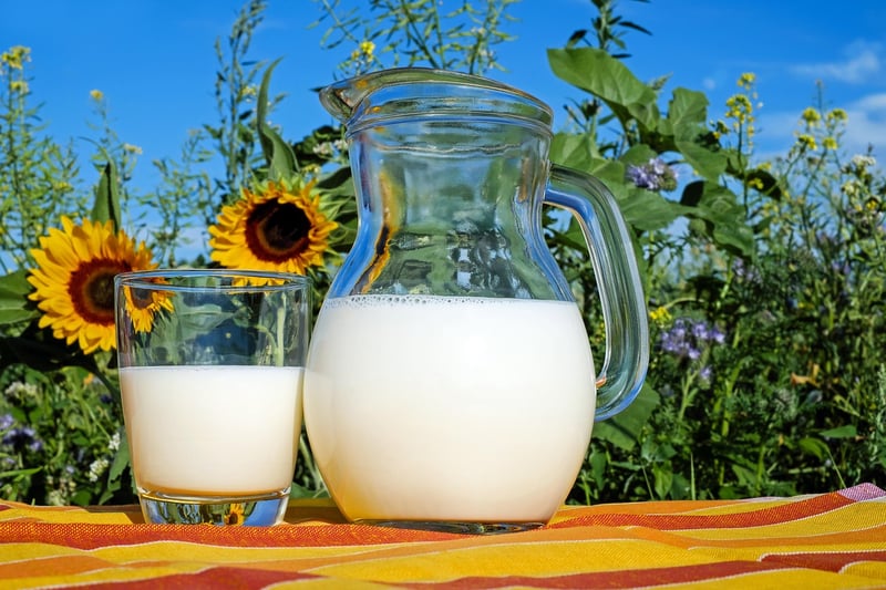 Dairy Alternatives